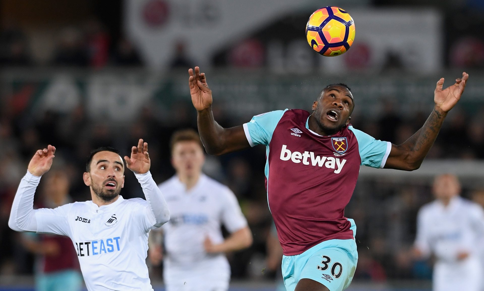 仅反映了罗 仅反映了罗