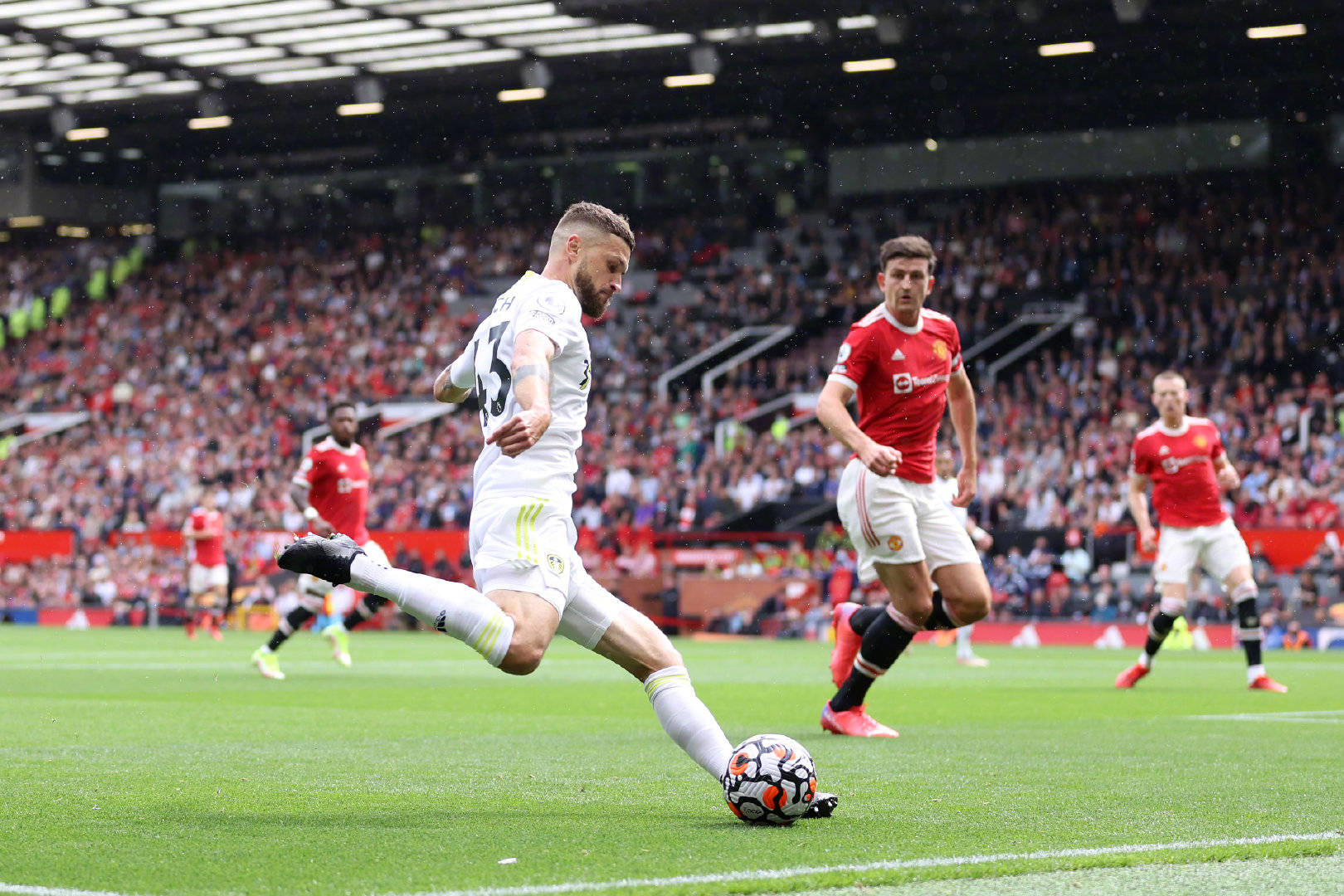 长期表现及 长期表现及